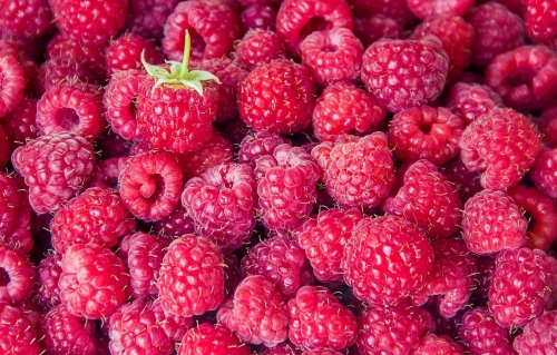 berries-wallpaper-desktopgoodies-020