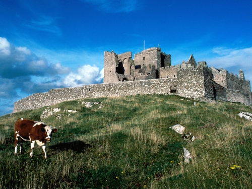 027 cashel castle ireland