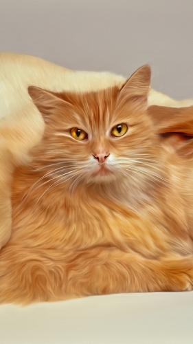cat-mobile-wallpaper-desktopgoodies-003