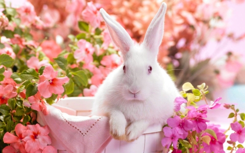 easter-wallpaper-desktopgoodies-009