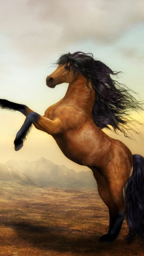 horse-mobile-wallpaper-desktopgoodies-003