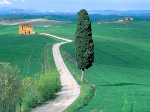 country road  tuscany  italy-desktopgoodies-031