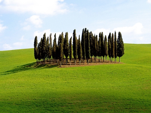 scenic siena province  tuscany  italy-desktopgoodies-016