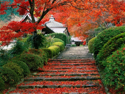 garden staircase  kyoto  japan-wallpaper-desktopgoodies-026