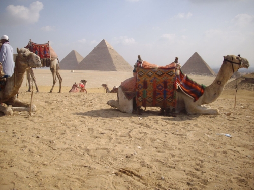 pyramids-of-egypt-wallpaper-desktopgoodies-010