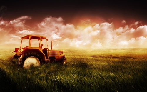 1212-tractor-field 003