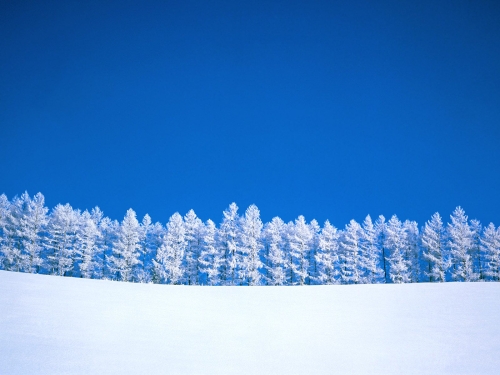 winter-landscape-wallpaper-desktopgoodies-012