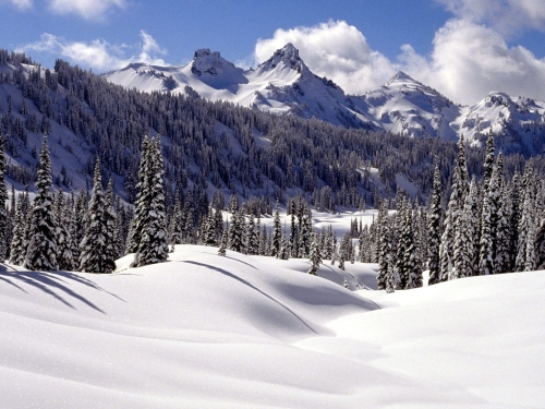 winter-landscape-wallpaper-desktopgoodies-017