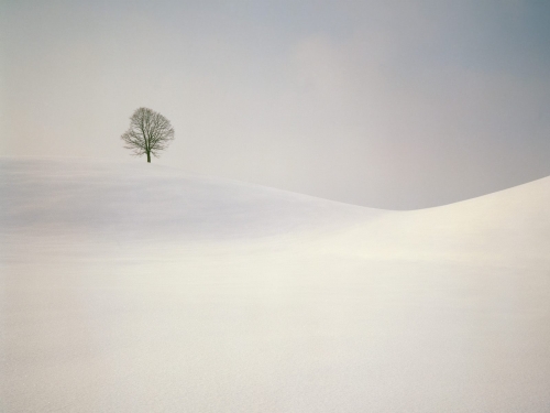 winter-landscape-wallpaper-desktopgoodies-028