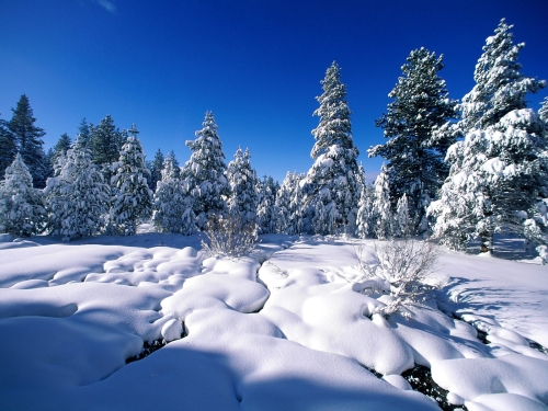 winter-landscape-wallpaper-desktopgoodies-030