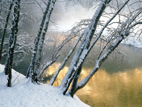 winter-landscape-wallpaper-desktopgoodies-032