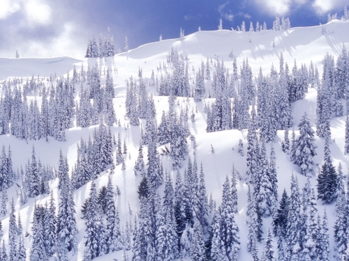 winter-landscape-wallpaper-desktopgoodies-043
